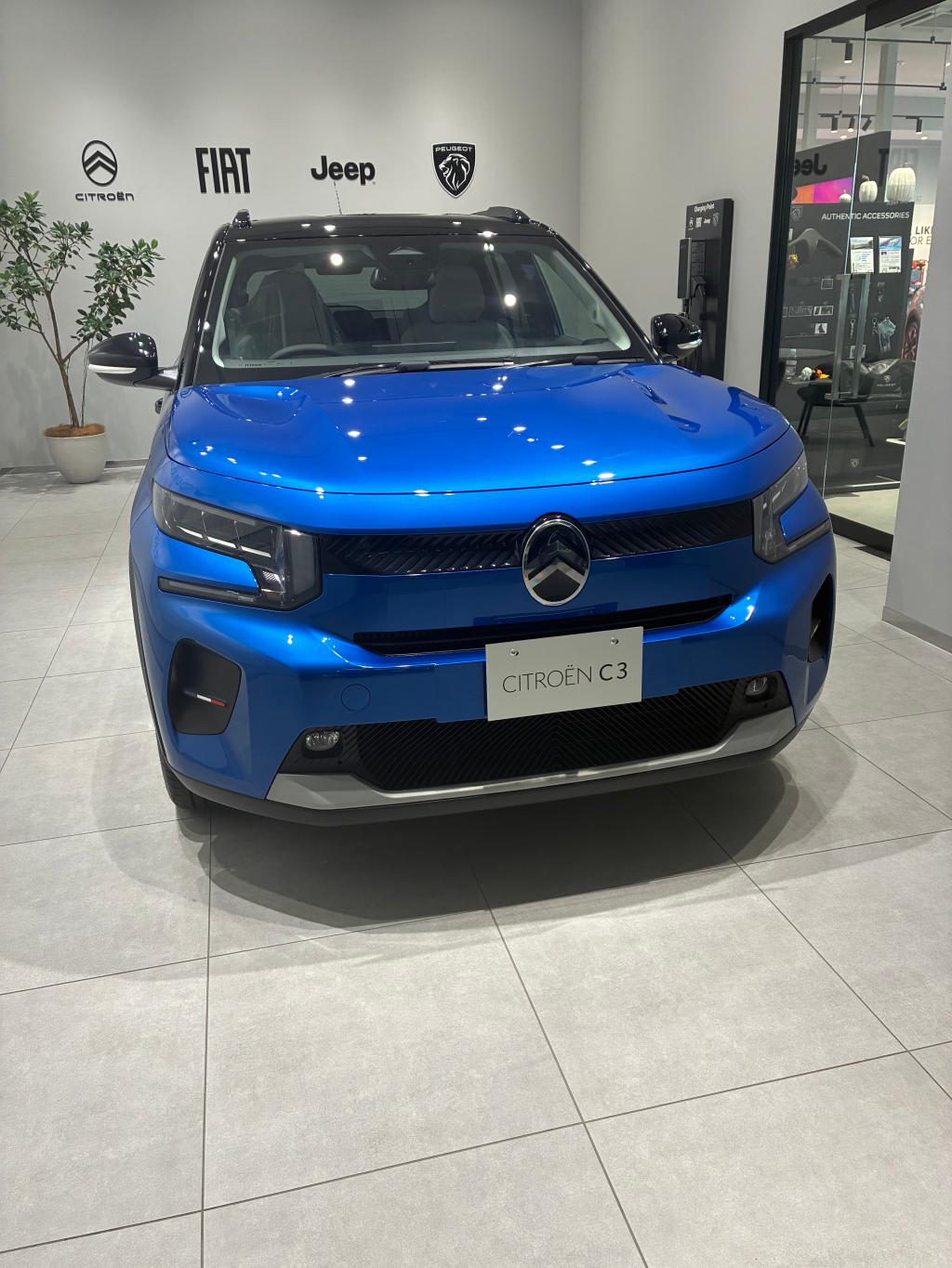特別仕様車