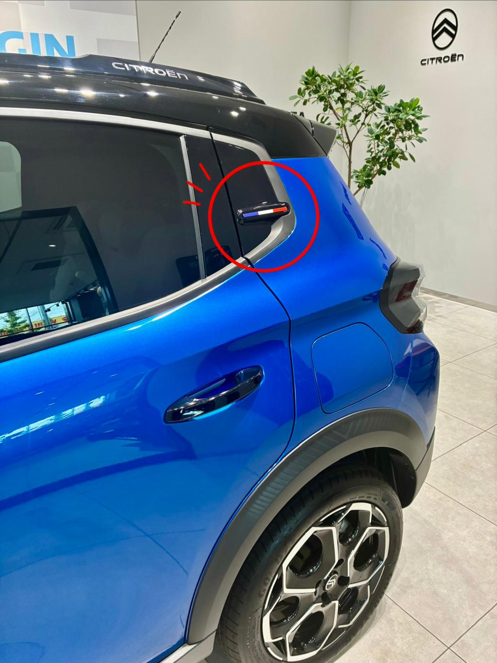 特別仕様車